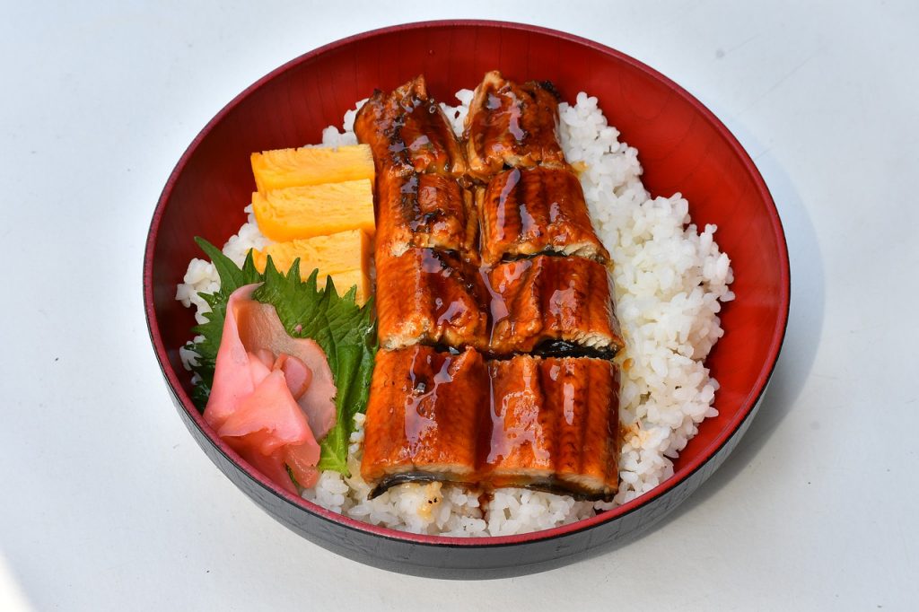 food, japan food, rice-4911748.jpg
