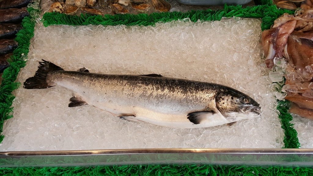 salmon, whole fish, market-1958945.jpg